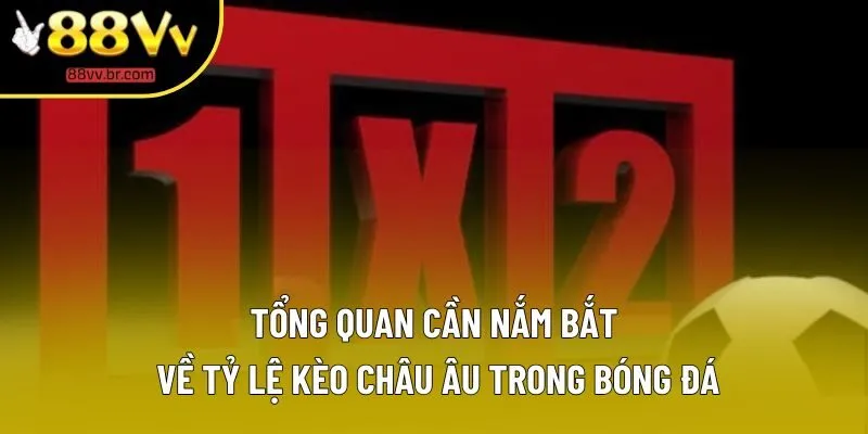 Tổng quan cần nắm bắt về tỷ lệ kèo châu Âu trong bóng đá Tổng quan cần nắm bắt về tỷ lệ kèo châu Âu trong bóng đá